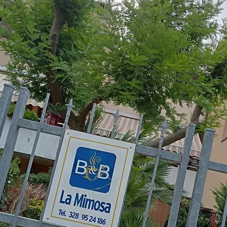 La Mimosa-3